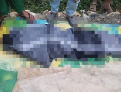 Diduga Tak Bisa Berenang, Pria Asal Depok Tewas Tenggelam di Curug Harmoni