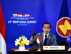 Kerja Sama BIMP-EAGA Jadi Kunci Pemulihan Ekonomi