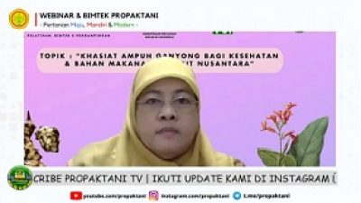 Prof Titi Candra Sunarti Ungkap Ganyong Sebagai Bahan Pangan Potensial