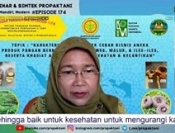 Mengungkap Porang Sebagai Pangan Fungsional untuk Mengatasi Diabetes dan Jantung