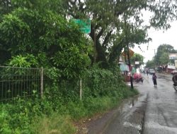 Bikin Linglung, Jalur Jonggol-Tanjungsari Minim Plang Petunjuk Arah dan Rambu Lalin