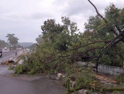 Jalan Alternatif Sentul Porak Poranda Diterjang Angin Puting Beliung