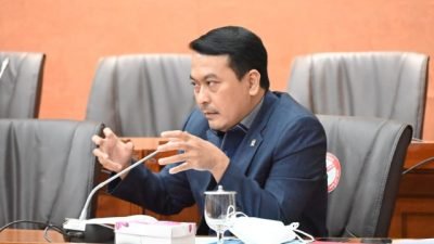 Banyak Manfaat, Anggota DPR Ini Apresiasi Aplikasi Telemedisin di Indonesia