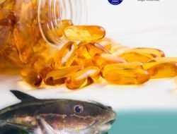 Ini Dia Minyak Lele Clarias, Suplemen Kesehatan Inovatif IPB University untuk Lansia