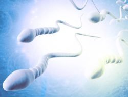 Inilah 5 Manfaat Menelan Sperma Bagi Wanita, Nomor 3 Gak Nyangka!