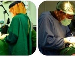 Terobosan Terapi Infark Jantung dengan Sel Punca Jadi Harapan Pengobatan Alternatif Penderita Serangan Jantung