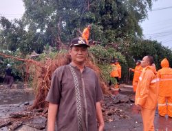 Diterjang Hujan Badai, Pohon Umur 20 Tahun di Depan Kantor Desa Gunung Putri Tumbang