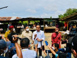 Tegas! Jokowi Minta Kasus Mafia Minyak Goreng Diusut Tuntas