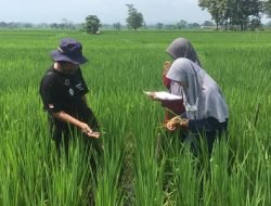IPB University Kolaborasi dengan PGN Kembangkan Kampus Sawah Merdeka
