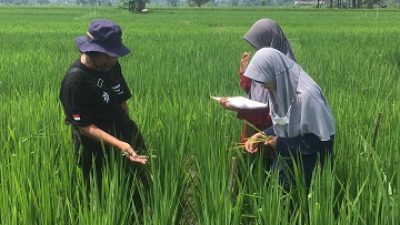 IPB University Kolaborasi dengan PGN Kembangkan Kampus Sawah Merdeka