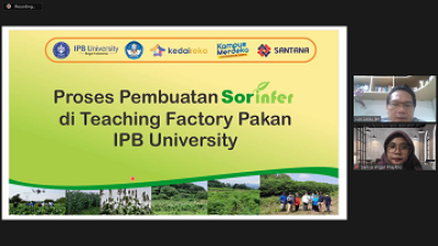 Inilah Sorinfer, Pakan Ternak Komplit Siap Saji Karya IPB University