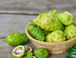 Inilah Segudang Manfaat Jus Mengkudu, Nomor 7 dan 9 Gak Nyangka!