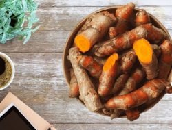 Khasiat dan Manfaat Temulawak Sebagai Tanaman Biofarmaka