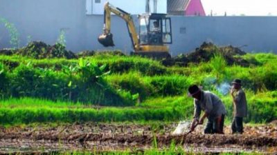 Langkah Langkah Pengendalian Alih Fungsi Lahan Pertanian di Indonesia
