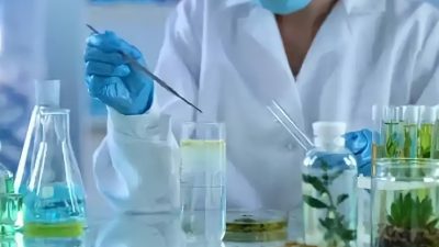 Penerapan Bioteknologi Untuk Meningkatkan Kualitas Produk Pertanian