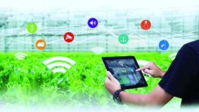 Penerapan Teknologi Informasi dalam Supply Chain Management di Bidang Pertanian guna Meningkatkan Hasil Pertanian