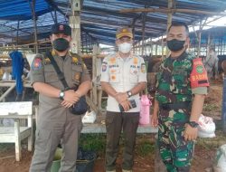Ditemukan Kasus PMK, Pasar Hewan Jonggol di Lockdown