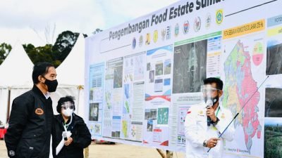 Tantangan Program Food Estate, Upaya Pemerintah untuk Ketahanan Pangan Nasional
