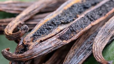 Vanili sebagai Alternatif Terapi Depresi