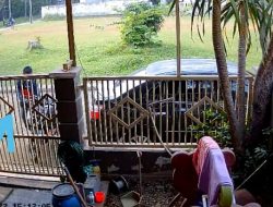 Curanmor di Perumahan Elite Bojong Nangka Terekam CCTV