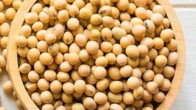 Inilah Makanan dan Minuman Penurun Libido Pria, Nomor 1 Gak Nyangka!