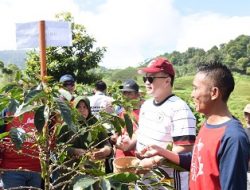 Panen Kopi Konservasi di Cibulao, Rektor IPB University Janjikan Hal Ini bagi Anak Petani