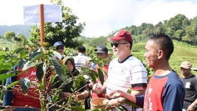 Panen Kopi Konservasi di Cibulao, Rektor IPB University Janjikan Hal Ini bagi Anak Petani