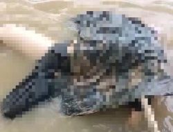 Diduga Depresi, Wanita Muda Ini Ditemukan Tak Bernyawa di Sungai Cikeas