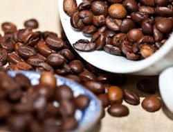 Yuk Kenali Jenis-Jenis Kopi dan Ciri Khasnya Yang Unik