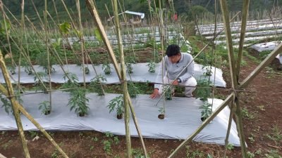 Antisipasi Krisis Pangan, Ramdhan Galangkan Gerakan Petani Muda di Kabupaten Bogor