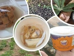 Inilah SEKAF, Sereal Sehat Terbuat dari Kacang Bogor Karya Mahasiswa IPB University