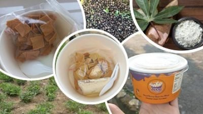 Inilah SEKAF, Sereal Sehat Terbuat dari Kacang Bogor Karya Mahasiswa IPB University