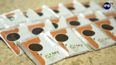 Inilah Garam Gamy Cocok Dikonsumsi Penderita Hipertensi