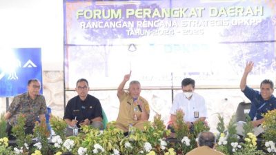 Burhanudin: RPD 2024-2026 Bisa Jadi Pedoman Keberlangsungan Pembangunan Selama Masa Transisi