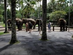 6 Tempat wisata terbaik di Bali : Wajib dikunjungi