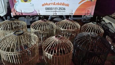 Polsek Cileungsi Amankan 5 Pelaku Judi Sabung Ayam di Gandoang