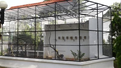 Kereeen, Kini Cibinong Situ Plaza Punya Aviari Lengkap Dengan Aneka Satwa