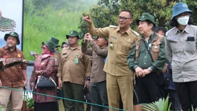 Iwan Lepasliarkan Sepasang Elang Jawa Jelita dan Parama ke Alam Bebas