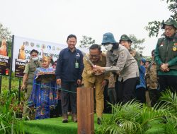 Lepaskan Elang Jawa Ke Alam Bebas, PPLI Terus Pantau Perkembangbiakannya