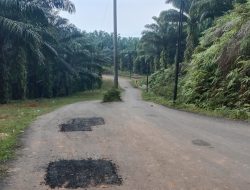 Belum Genap Satu Tahun Dikerjakan, Jalan Penghubung di Sukajaya Ini Sudah Rusak
