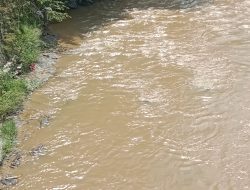 Masih Misterius, Gubernur Jabar dan APH Diminta Tindak Pelaku Pencemaran Sungai Cikaniki