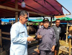 Pastikan Hewan Qurban Terbebas dari Penyakit Lato-lato, Diskanak Kabupaten Bogor Turun ke Pedagang
