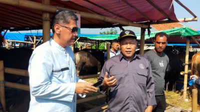 Pastikan Hewan Qurban Terbebas dari Penyakit Lato-lato, Diskanak Kabupaten Bogor Turun ke Pedagang