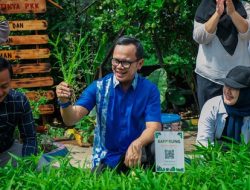 Cek Penataan Kampung Lebak Pilar Sempur, Bima Arya: Bersih, Indah dan Tertata Rapi