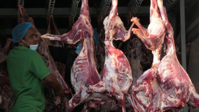 Pertama dalam Sejarah, Daging Dam Jemaah Haji akan Dikirim dan Dibagikan untuk Masyarakat Indonesia