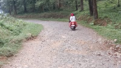 Akses Jalan Menuju Desa Malasari Nanggung yang Rusak Berat Dikomentari Artis Ibu Kota