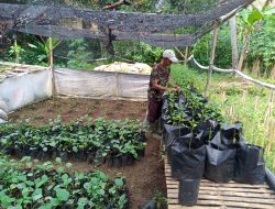 Kereeen! Warga Desa Cibanteng Ciampea Ubah Lahan kosong Jadi Produktif
