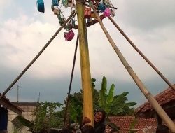 Rawat Tradisi, Warga Kampung Kemang Parakan Salak Gelar Panjat Pinang