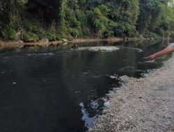 Musim Kemarau, Aliran Sungai Cileungsi Malah Jadi Penampungan Limbah Industri