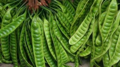 Gak Nyangka, Ternyata Petai Miliki Segudang Manfaat untuk Kesehatan, Apa Saja?